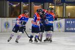 Eisbären halten Rhinos in Schach