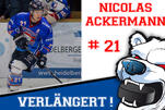 Abwehr-Routinier ackert weiter als Eisbär