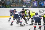 Eisbären empfangen Primus Zweibrücken