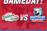RL_ Eisbären zu Gast in Bietigheim