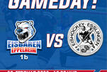 LL: Eisbären empfangen Esslingen